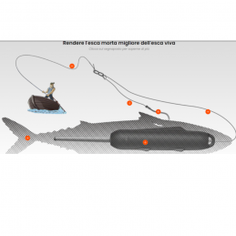 KANAMA L'ESCA INTELLIGENTE...
