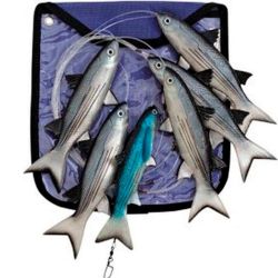 WILLIAMSON LIVE MULLET...