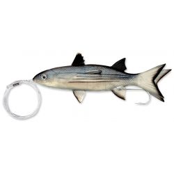 WILLIAMSON LIVE SPLIT TAIL...