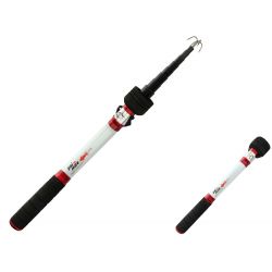 RAFFIO X CEFALOPODI KALI...