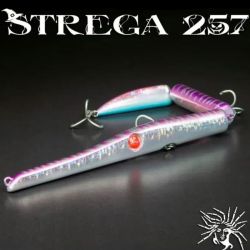 SEASPIN STREGA