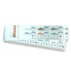 STONFO MISURA PESCI