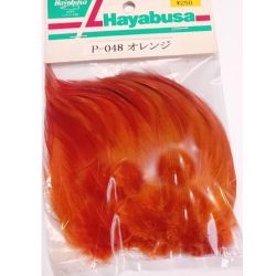 HAYABUSA COLLO DI GALLO