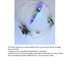 TERMINALE CERNIA BOL....