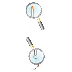 AGHI BIBI TESTA ROSSA