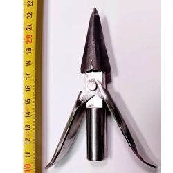 ARPIONE Quadricuspide