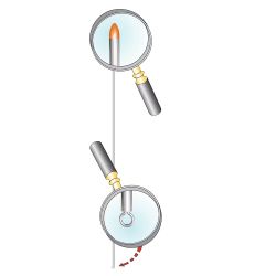 AGHI BIBI TESTA ROSSA