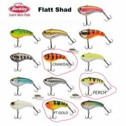 BERKLEY FLATT SHAD 50MM 9.3GR