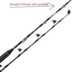 TRAINA CON IL MONEL CANNA...