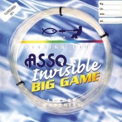 ASSO INVISIBLE BIG GAME