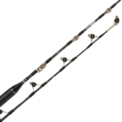 TRAINA CON IL MONEL CANNA...