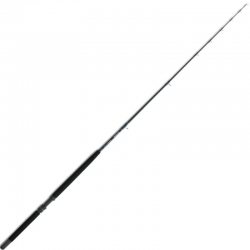 DAIWA SEALINE BT