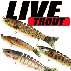 Live Trout