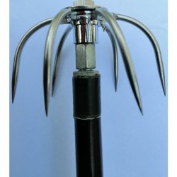 Raffio Egi da Guadino