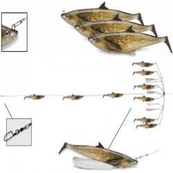 WILLIAMSON LIVE MACKEREL