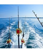 Pesca Sportiva