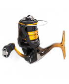 MULINELLI TROUT AREA